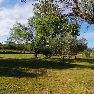 S&m Sveti Filip i Jakov